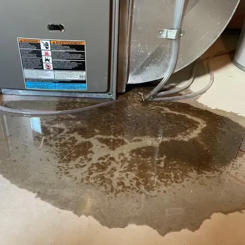 Appliance Leak Cleanup in Green Lake, WI